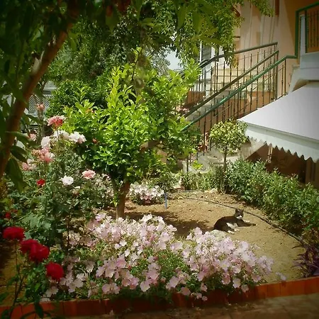 Phyllis Maisonettes דירה