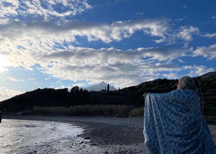 Phyllis Maisonettes *