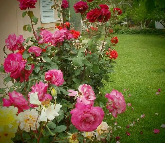 Phyllis Maisonettes Kallithea (Chalkidiki)