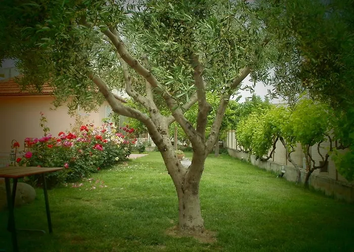 Phyllis Maisonettes Kallithea (Chalkidiki)