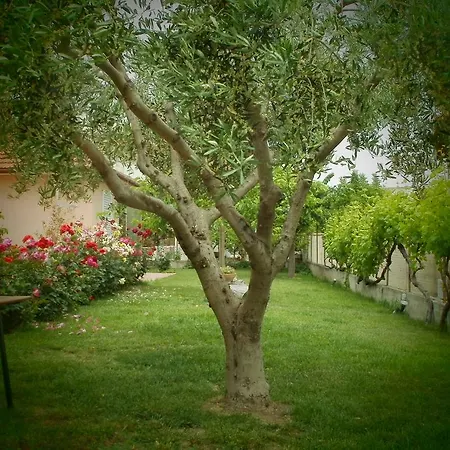 Phyllis Maisonettes Kallithea (Chalkidiki)