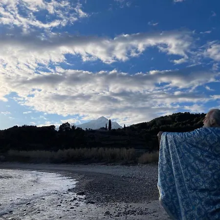 Phyllis Maisonettes *