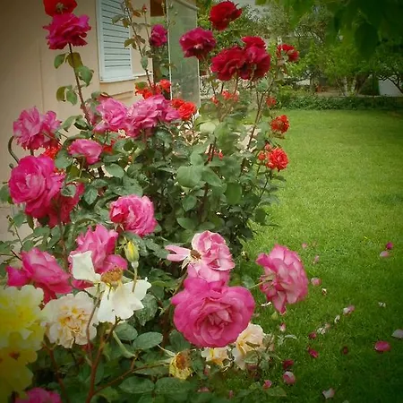 Phyllis Maisonettes Kallithea (Chalkidiki)