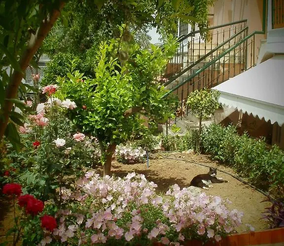 Phyllis Maisonettes Apartment